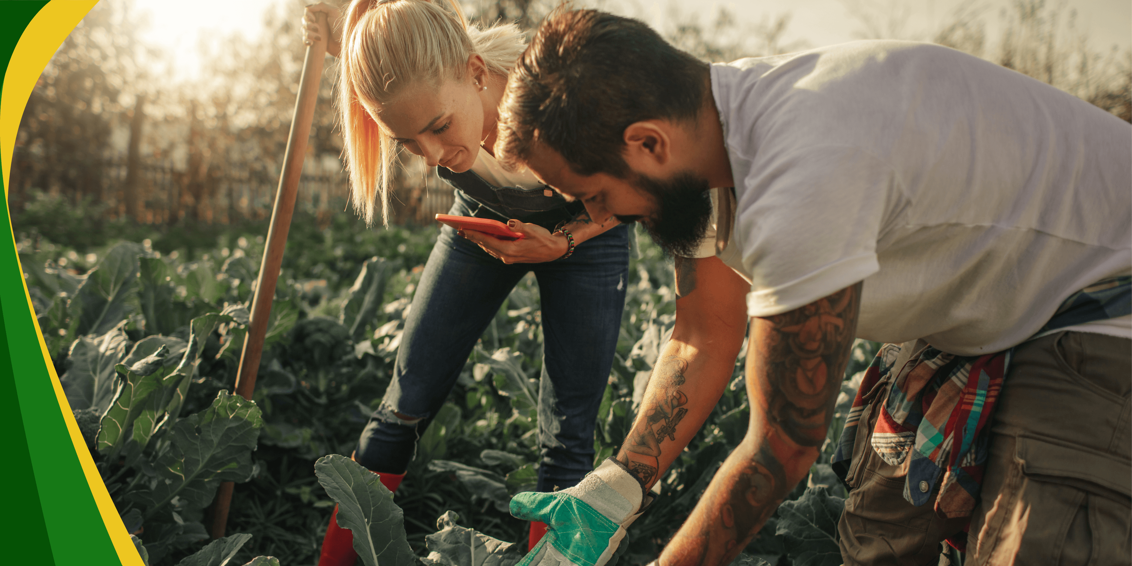 Blog banners (7).png