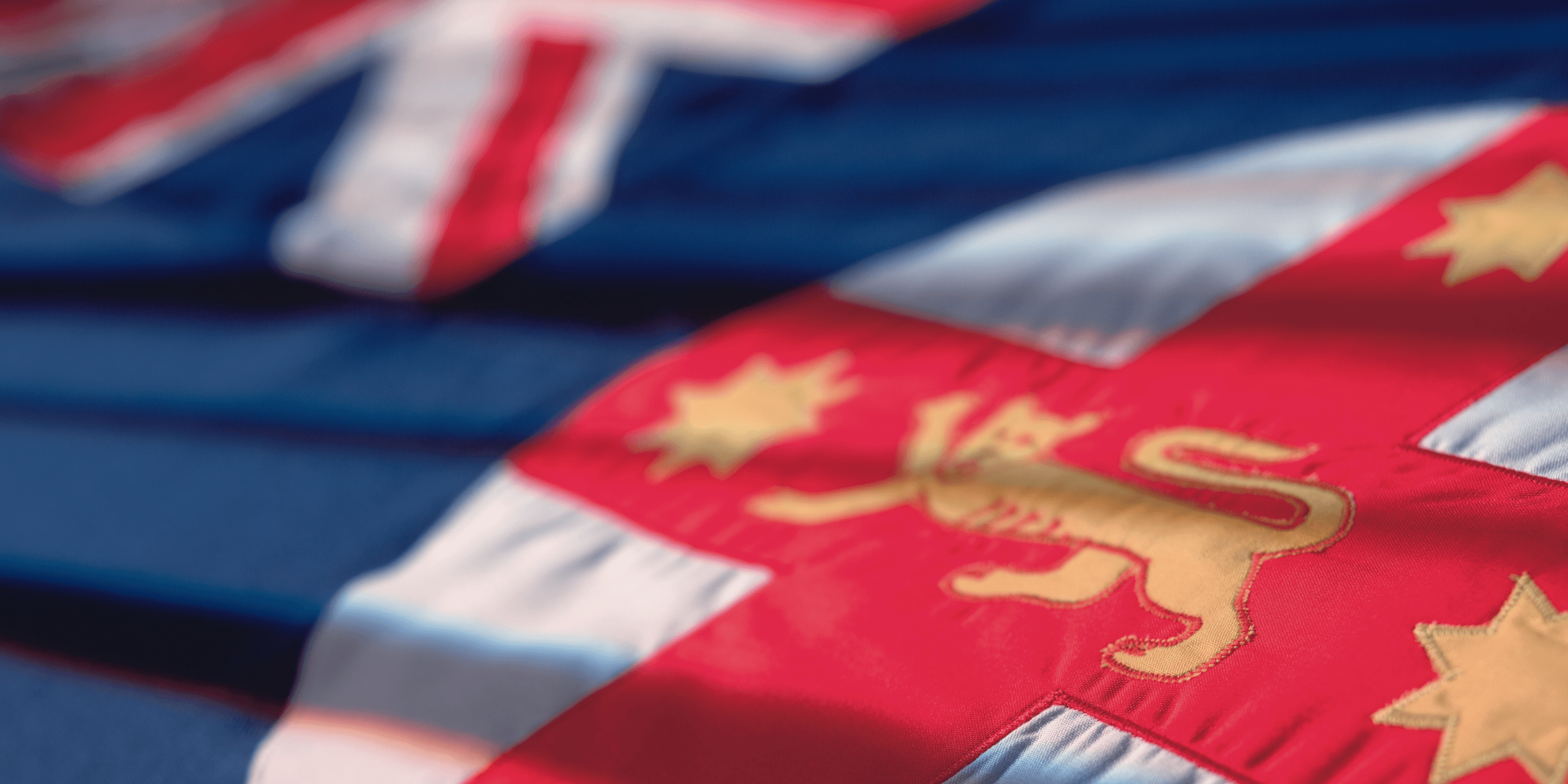 Blog banners (24).png