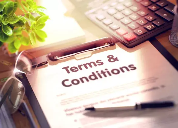 Website terms and conditions 
